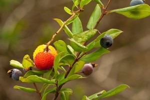 Sport e natura